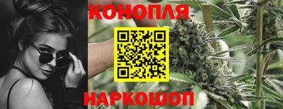 спайс Кинель
