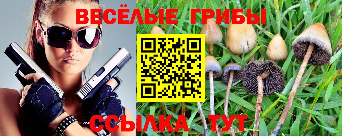 Псилоцибиновые грибы мицелий Елизово
