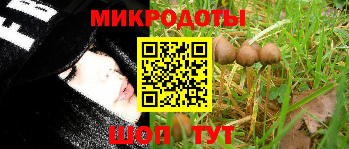 Галлюциногенные грибы мицелий  Вход с VPN  Елизово 